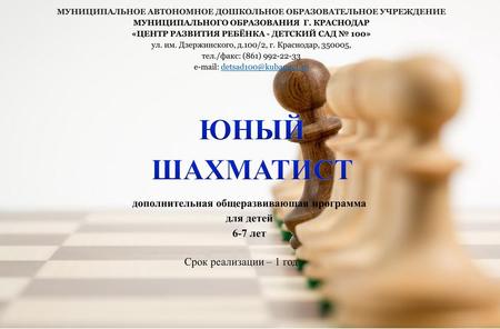 Юный шахматист Юный шахматист.